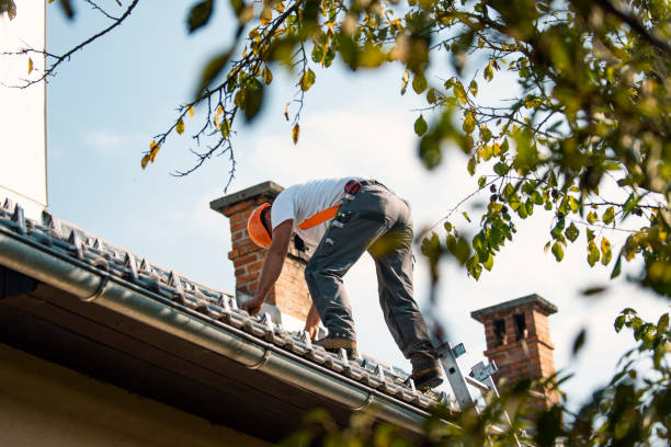 Best Commercial Roofing Services  in Bradner, OH