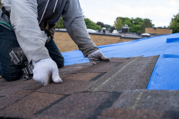 Best Metal Roofing Contractor  in Bradner, OH