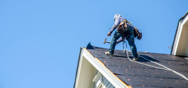 Roof Gutter Cleaning in Bradner, OH